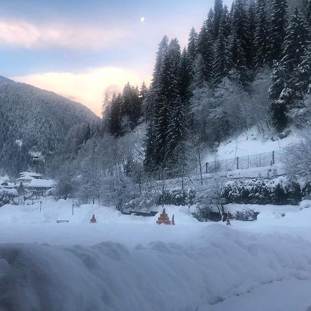 Holidays Dolomiti Apartment Resort 加里索洛 外观 照片