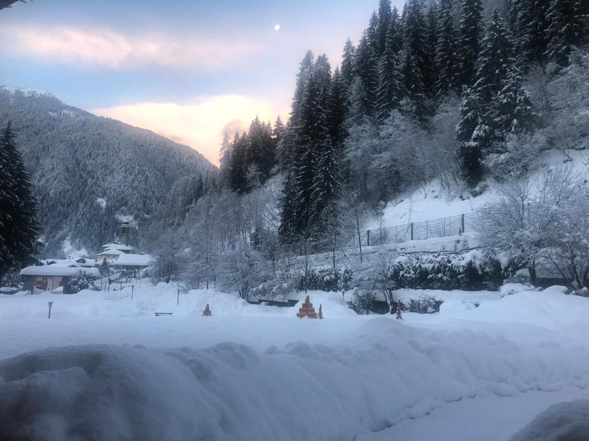 Holidays Dolomiti Apartment Resort 加里索洛 外观 照片
